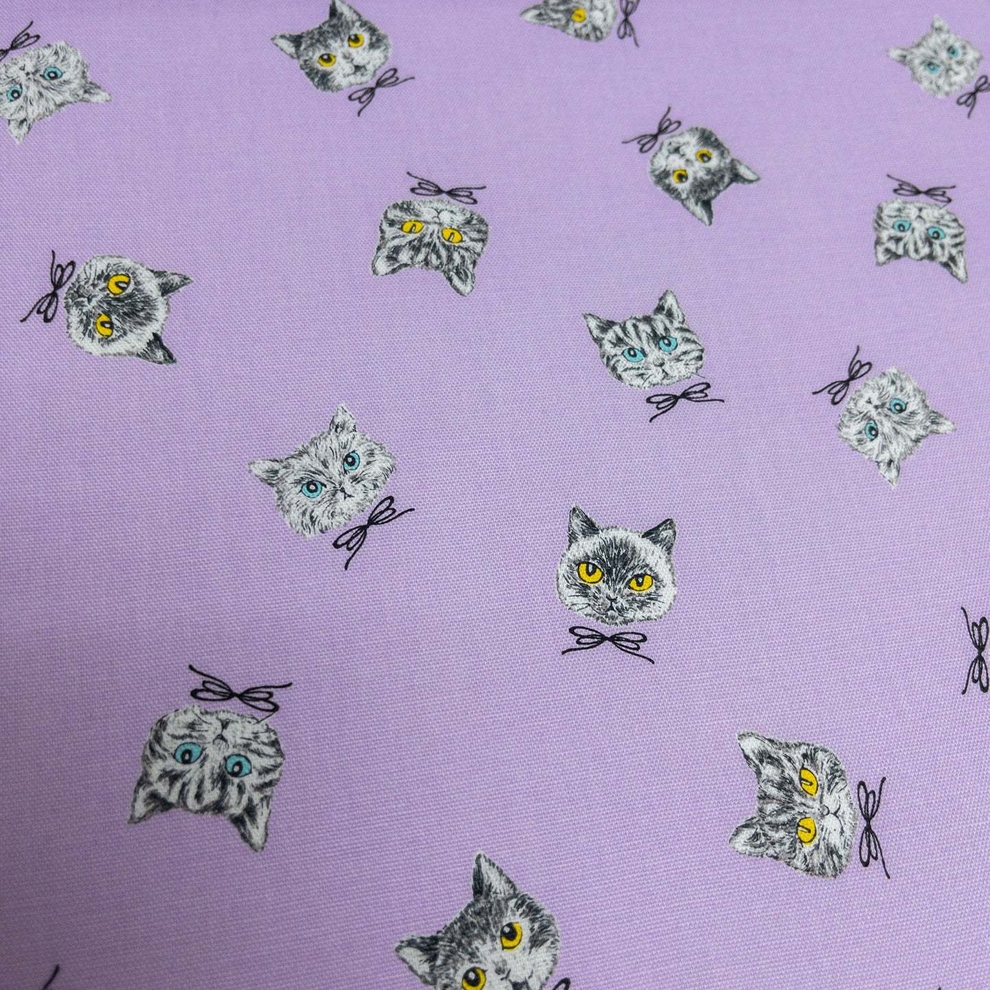 Japan | cat face head 貓貓頭 | cotton printed oxford 純棉