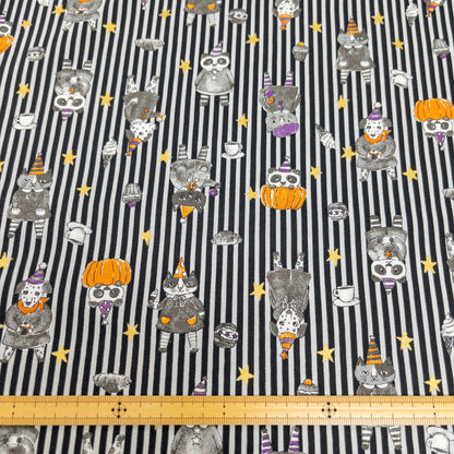 Japan | Halloween stripe cat 萬聖節間條貓貓 | cotton printed sheeting 純棉