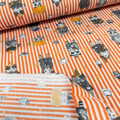 Japan | Halloween stripe cat 萬聖節間條貓貓 | cotton printed sheeting 純棉