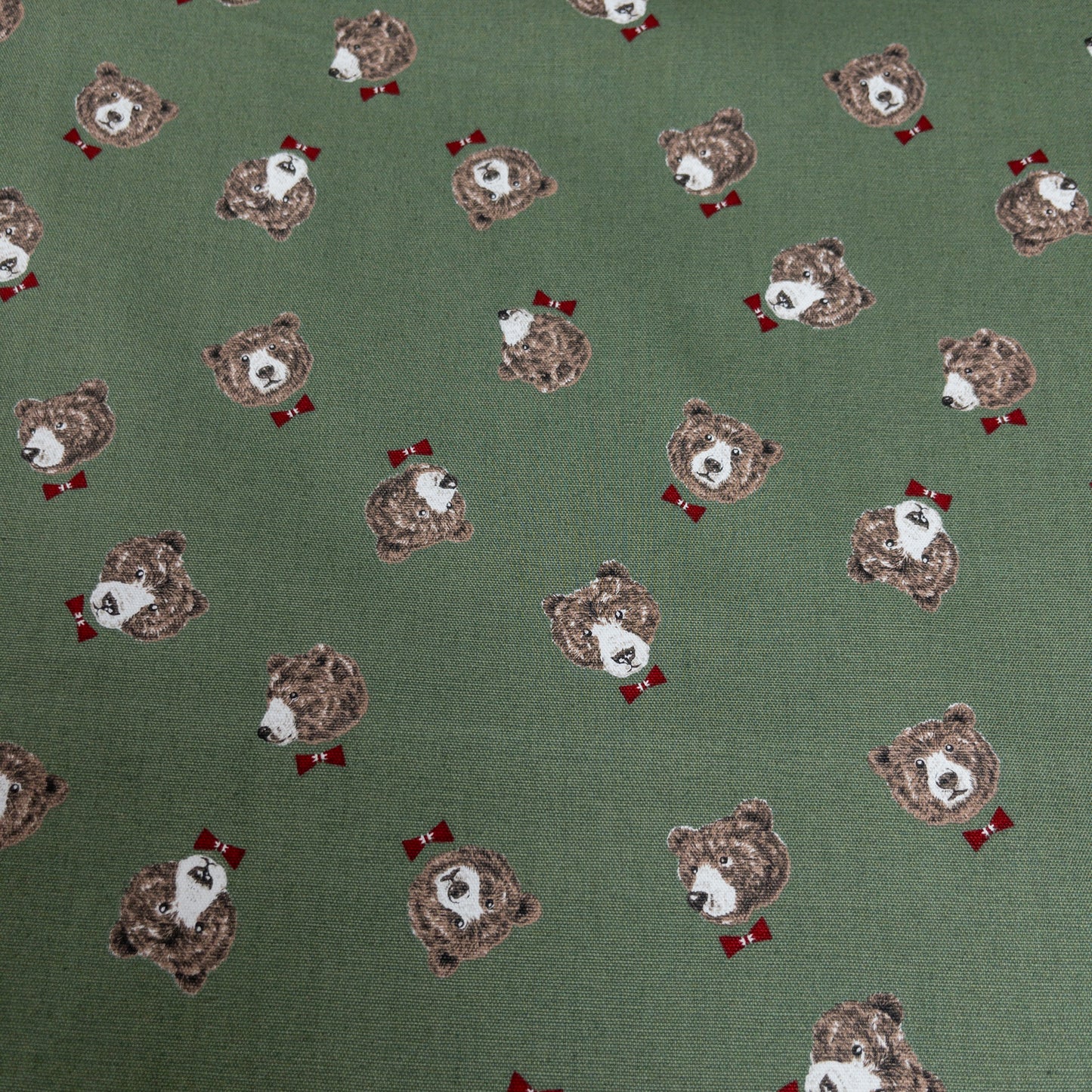 Japan | bow tie bear 煲呔棕熊 | cotton printed oxford 純棉