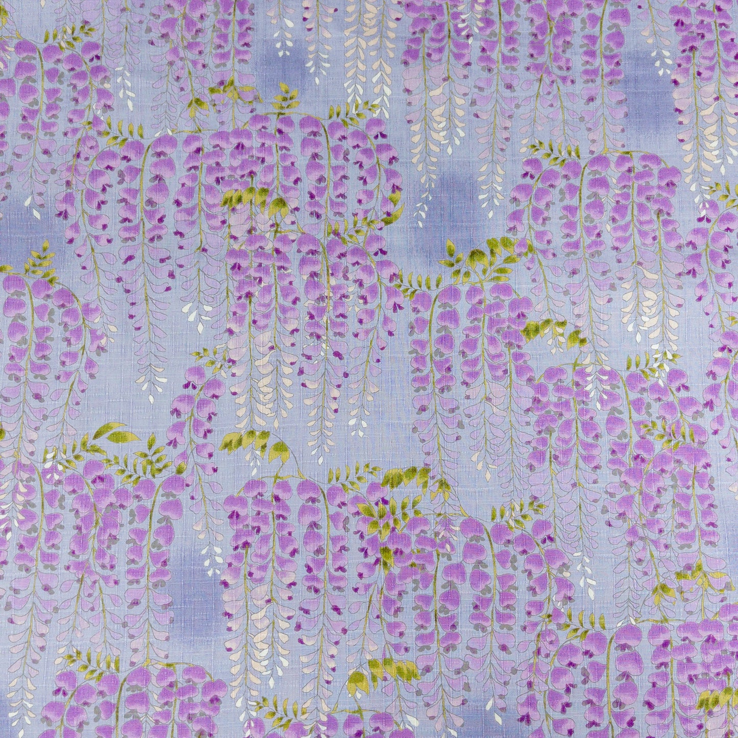Kobayashi | wisteria 紫藤花 | cotton printed dobby 純棉竹節