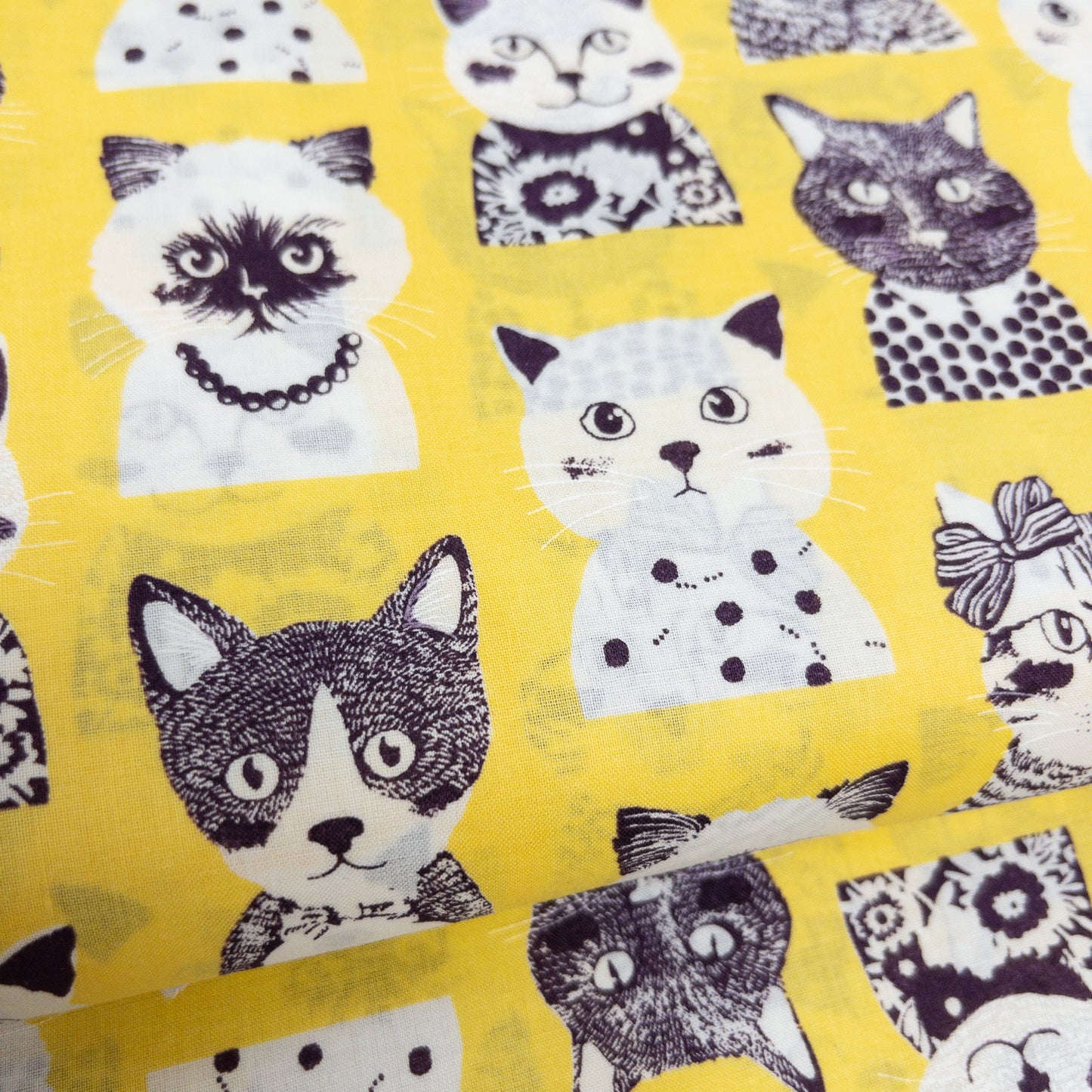 Japan | fashion cat 時裝貓貓 | cotton printed 60s 純棉