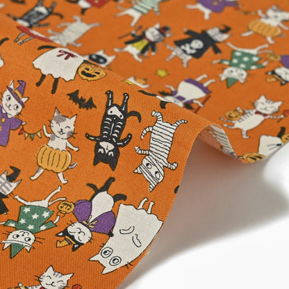 Japan | Seasonal cats halloween 貓貓萬聖節 | cotton printed sheeting 純棉