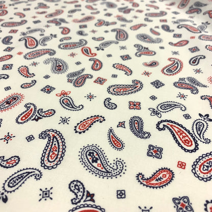 Japan | 腰果花Paisley cotton printed shirting 純棉